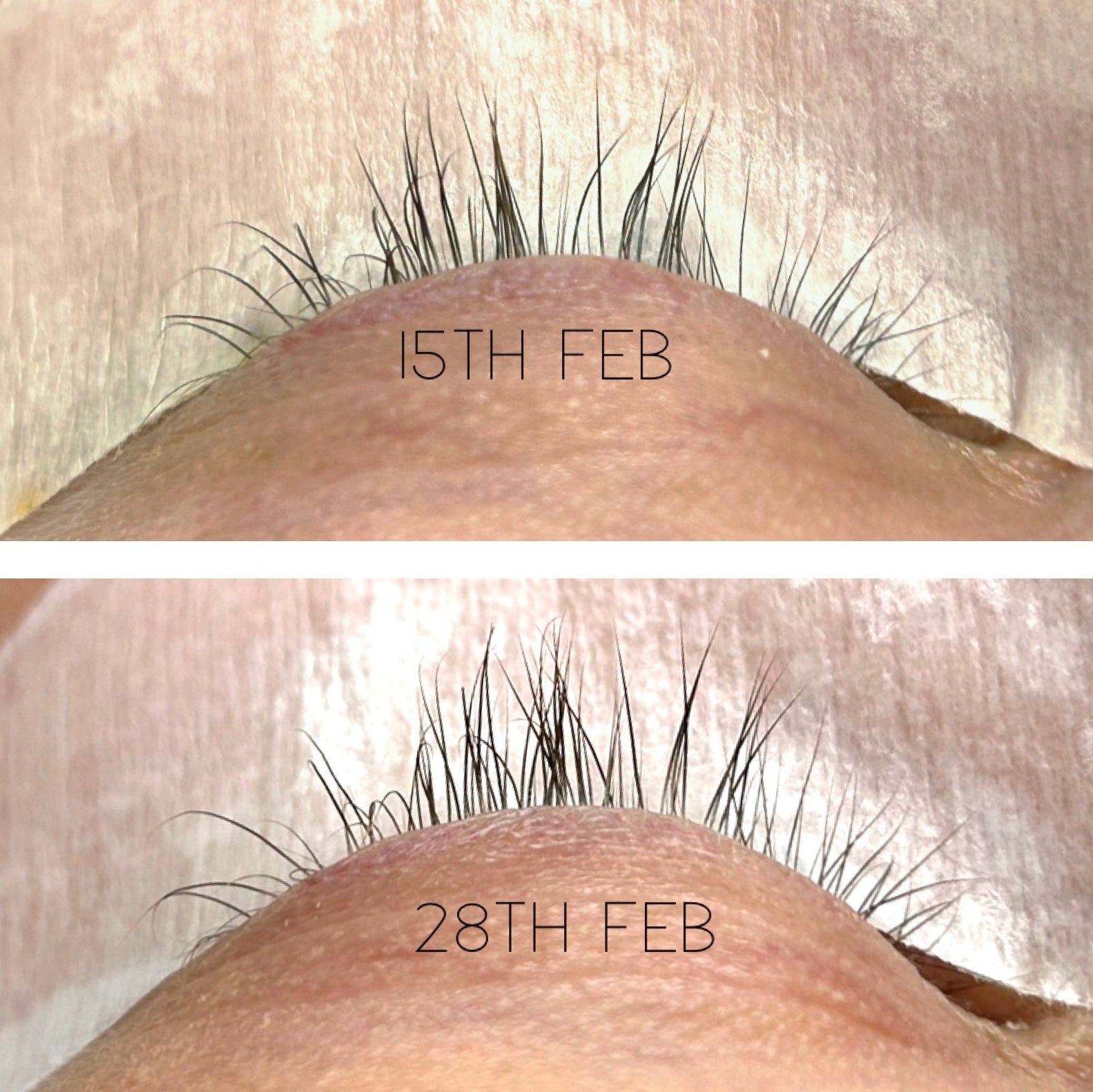 before and after results from using GrowMode Lash & Brow Serum